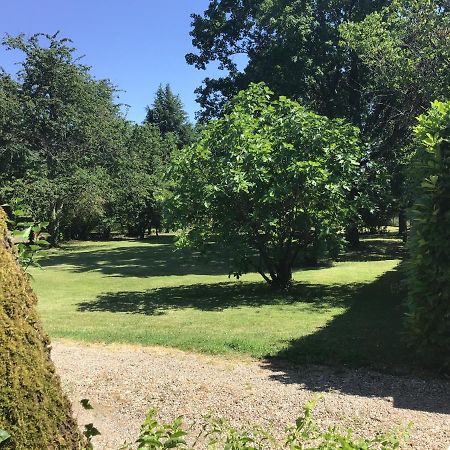 A L'Olivier Bed and Breakfast Montcaret Exteriör bild