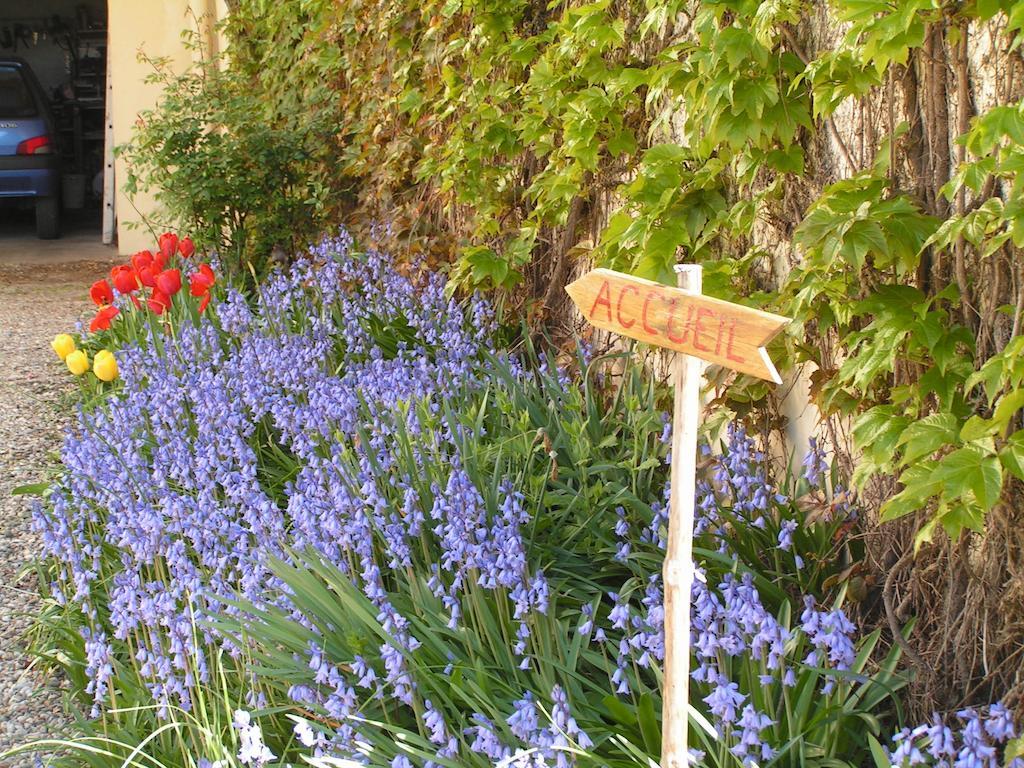 A L'Olivier Bed and Breakfast Montcaret Exteriör bild